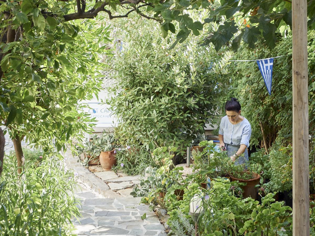 Villa Ippocampi - Adults Only Χερσόνησος Εξωτερικό φωτογραφία